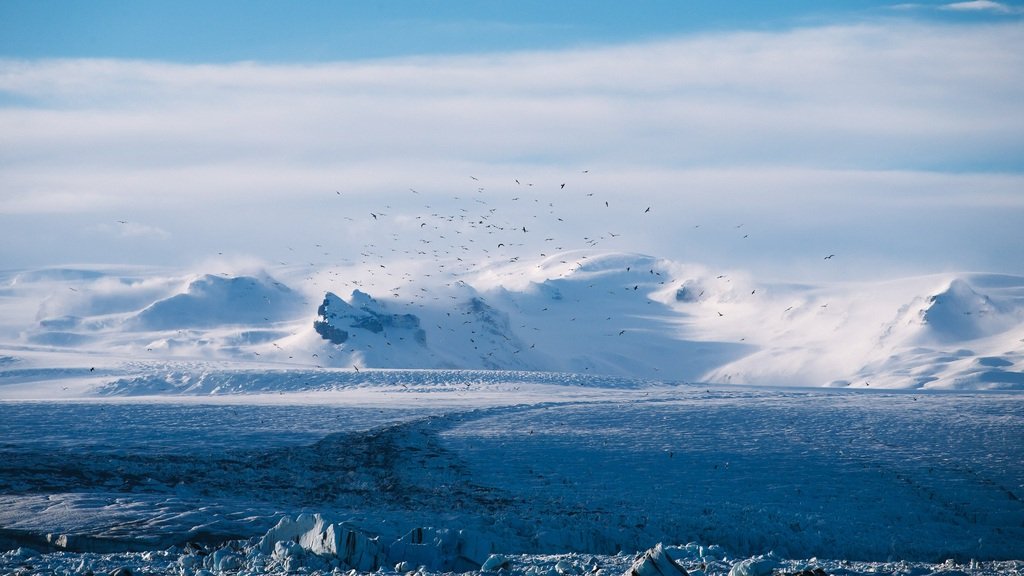 Global Leaders Gather to Address Climate Change