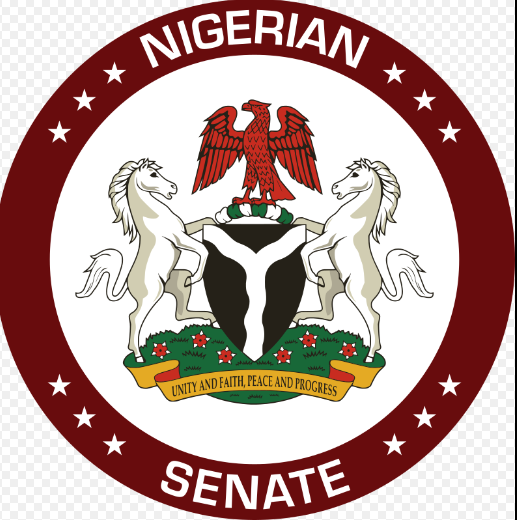 Senate welcomes Tinubu’s requests to adjust 2024 budget by N6.2tn, tax banks’ profits