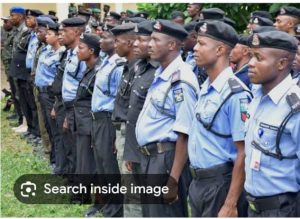 Police seek to exit contributory pension scheme. Retirees paid 19.5% of what counterparts in army, DSS, others earn -Senate