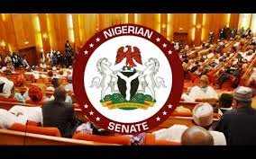 LG polls: What the new bill introduced by Senate to establish independent agency says